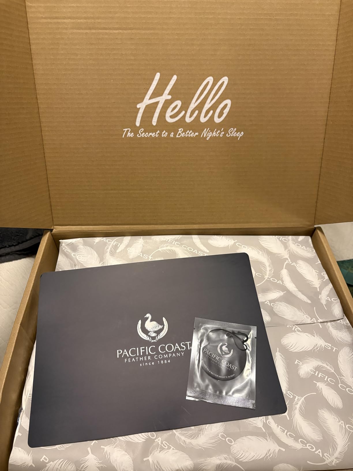 Pacific Coast Pillow Customer Review 6